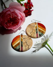 Load image into Gallery viewer, Spalted Rainbow
