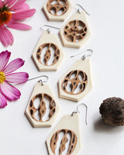 Load image into Gallery viewer, Black Walnut - Holly
