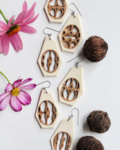 Load image into Gallery viewer, Black Walnut - Holly
