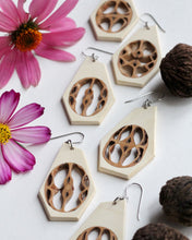 Load image into Gallery viewer, Black Walnut - Holly
