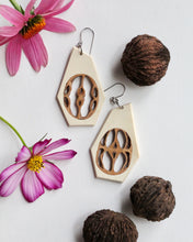 Load image into Gallery viewer, Black Walnut - Holly

