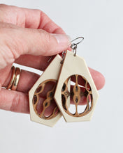 Load image into Gallery viewer, Black Walnut - Holly
