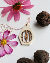 Load image into Gallery viewer, Pendant: Black Walnut - Holly

