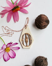 Load image into Gallery viewer, Pendant: Black Walnut - Holly
