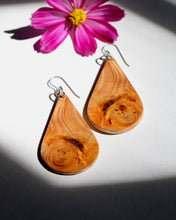 Load image into Gallery viewer, Swirling Yew Drops

